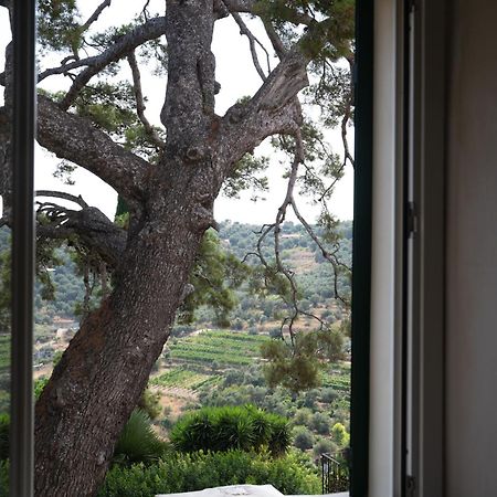 Uliveto Saglietto Agriturismo A Poggi Apartments インペリア エクステリア 写真