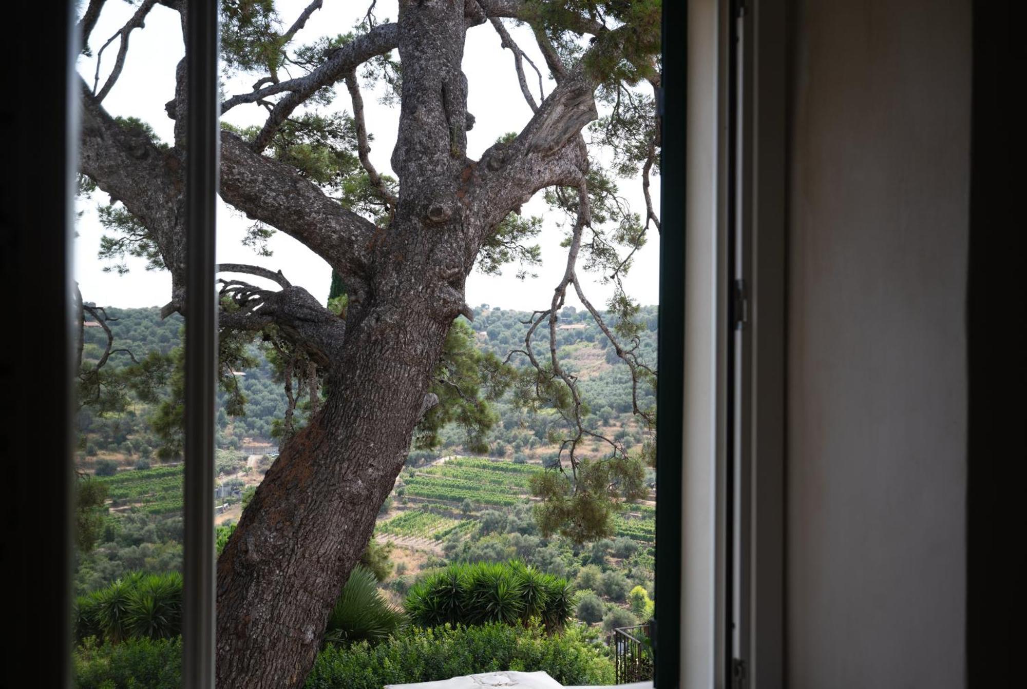 Uliveto Saglietto Agriturismo A Poggi Apartments インペリア エクステリア 写真