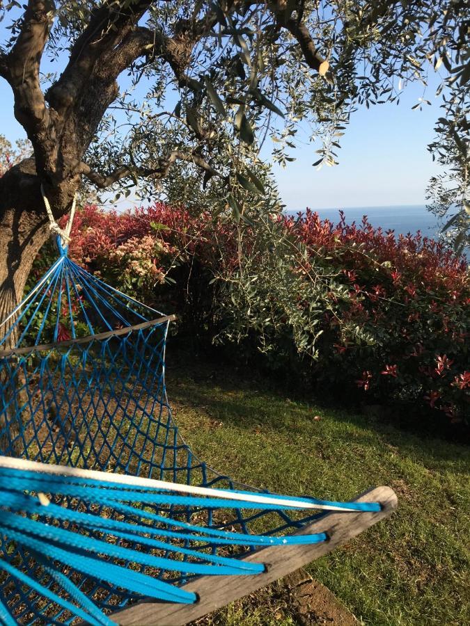 Uliveto Saglietto Agriturismo A Poggi Apartments インペリア エクステリア 写真